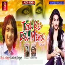 Tod Ke Dil Mera (Hindi)