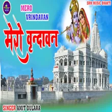Mero Vrindavan (bhakti song)
