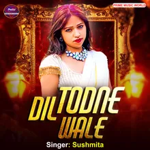 Dil Todne Wale (Hindi)