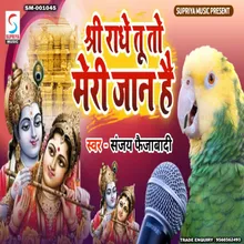Shri Radhe Tu To Meri Jaan Hai (Hindi)