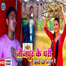 Jaunpur Ke Pari Ego Pat Gail Re (bhojpuri)