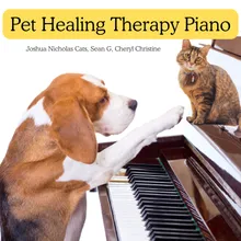 Piano for puppy to play