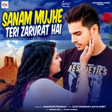 Sanam Mujhe Teri Zarurat Hai (Hindi)