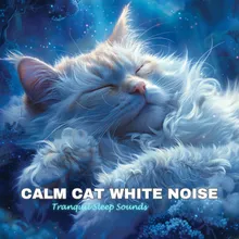 Tranquil Kitty Retreat: Sleepy White Noise