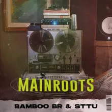 Mainroots