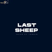 Last Sheep