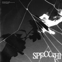 Specchi