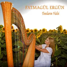 Sonata in D Major, No. 13 (Arr. for Harp by Fatmagül Ergün)