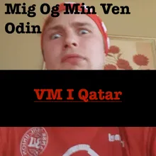 VM I Qatar