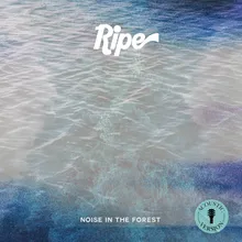 Noise in the Forest Acoustic