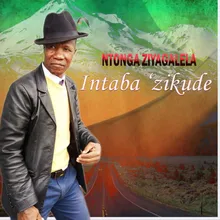 Intaba'zikude