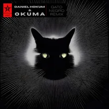 Gato Negro Daniel Hokum & okuma Remix