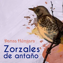 Danza Hungara