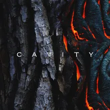 Cavity