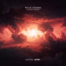 Wild Storm Extended Mix