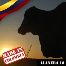 Legado de un Llanero