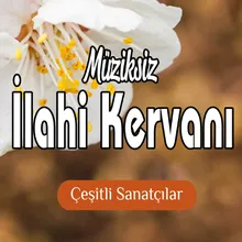 Seyrettim Muhammedi