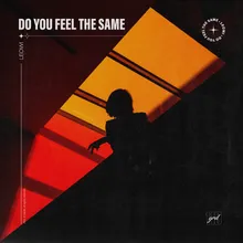 do you feel the same Extended Mix