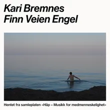 Finn Veien Engel New version