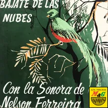 Canallón