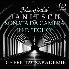 Sonata da camera in D Major for flute, oboe, violin and basso continuo, "Echo": III. Allegro