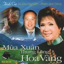 Nếu Mai Anh Về