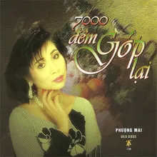 Nửa Đêm Ngoài Phố