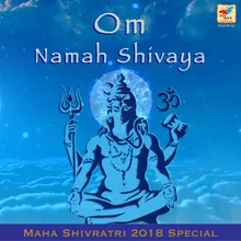 Om Namah Shivaya - at 432 Hz