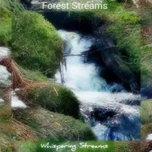 Forest Streams