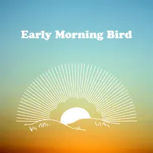 Early Morning Bird