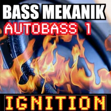 Bass Vibrator