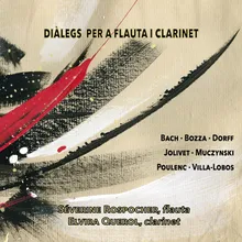 Duos for Flute and Clarinet, Op. 24: No. 4, Allegro ma non troppo