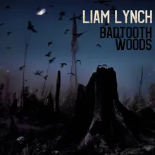 BadTooth Woods