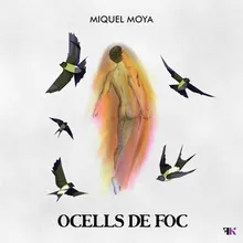 Ocells De Foc