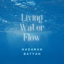 Living Water Flow