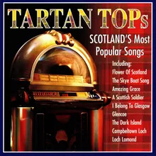 Sailing Up the Clyde / With a Toorie on His Bonnet / Goin' Doon the Watter Fur the Ferr (Lou Grant)