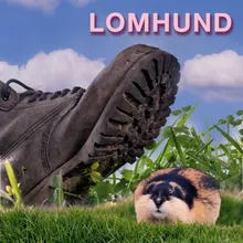 Lomhund