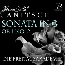 Sonata in G Major for Flute, Violin, Viola and Basso Continuo, Op. 1 No. 2: I. Largo