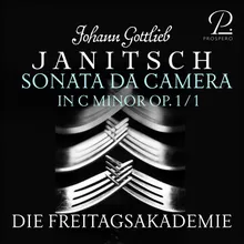 Sonata da Camera in C Minor for Flute, Oboe, Viola and Basso Continuo, Op. 1 No. 1: III. Allegro