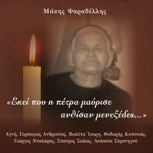 Ζουμπούλια στις αυλές