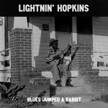 Blues Jumped a Rabbit