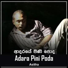 Adara Pini Poda