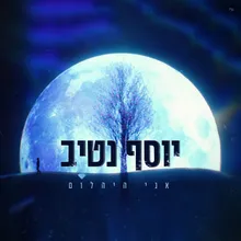 אני היהלום