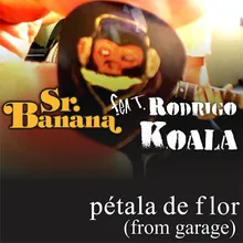 Pétala de Flor (From Garage)