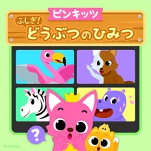 どうぶつのいろのひみつ