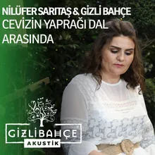 Cevizin Yaprağı Dal Arasında