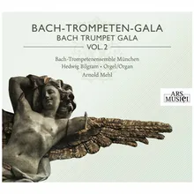 Auf, schmetternde Tone der muntern Trompeten, BWV 207a