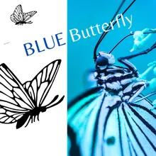 Blue Butterfly