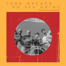 Cada Macaco no Seu Galho