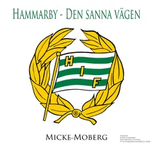 Söder Hammarby